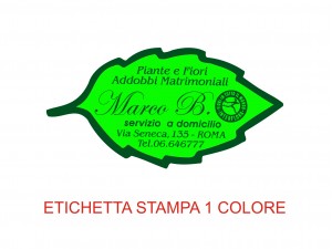 Etichette in carta fluorescente e colorata (mm 59X30)  (cod.1Q) 